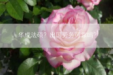 华成法硕？出国劳务可靠吗？