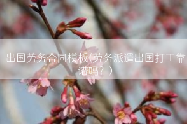 出国劳务合同模板(劳务派遣出国打工靠谱吗？)