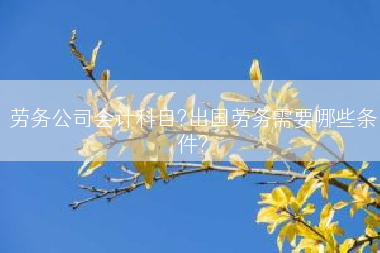 劳务公司会计科目?出国劳务需要哪些条件?