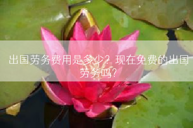 出国劳务费用是多少？现在免费的出国劳务吗？