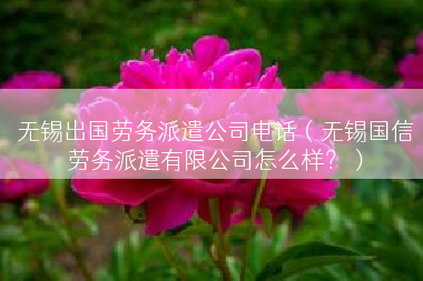 无锡出国劳务派遣公司电话（无锡国信劳务派遣有限公司怎么样？）