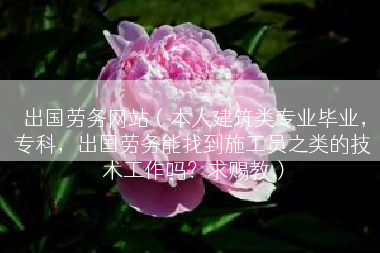 出国劳务网站（本人建筑类专业毕业，专科，出国劳务能找到施工员之类的技术工作吗？求赐教）