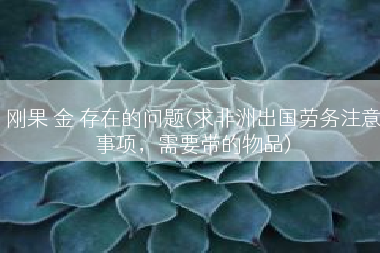 刚果 金 存在的问题(求非洲出国劳务注意事项，需要带的物品)