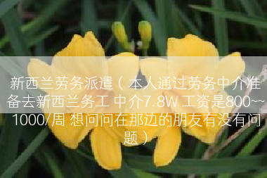 新西兰劳务派遣（本人通过劳务中介准备去新西兰务工 中介7.8W 工资是800~~1000/周 想问问在那边的朋友有没有问题）