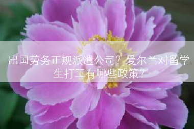 出国劳务正规派遣公司？爱尔兰对留学生打工有哪些政策？