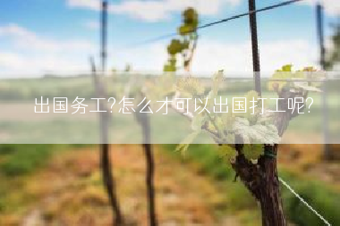 出国务工?怎么才可以出国打工呢?