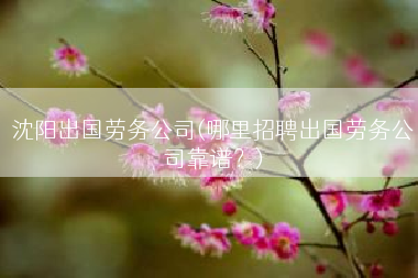 沈阳出国劳务公司(哪里招聘出国劳务公司靠谱？)