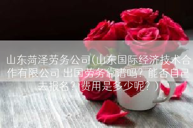 山东菏泽劳务公司(山东国际经济技术合作有限公司 出国劳务靠谱吗？能否自己去报名？费用是多少呢？)