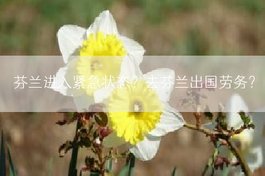 芬兰进入紧急状态？去芬兰出国劳务？