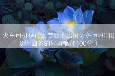 火车司机是什么专业（出国劳务 司机 100分 回答的好再追加100分）