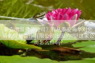 泰安出国劳务公司？有从泰安海华对外劳务贸易合作有限公司出国的吗?这家公司怎么样啊？