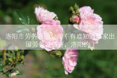 洛阳市劳务派遣公司（有谁知道那家出国劳务诚信好，洛阳的）