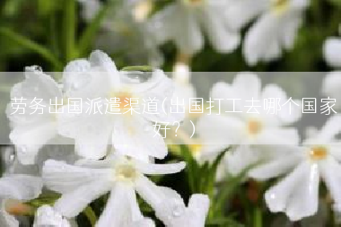 劳务出国派遣渠道(出国打工去哪个国家好？)