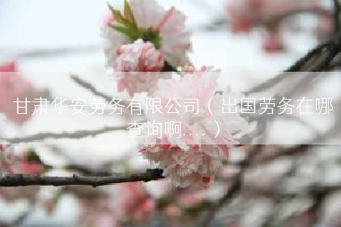 甘肃华安劳务有限公司（出国劳务在哪查询啊....）