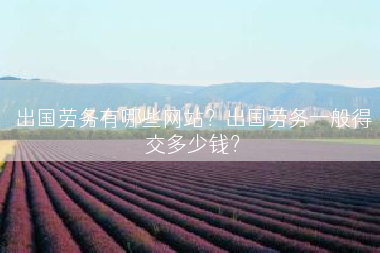 出国劳务有哪些网站？出国劳务一般得交多少钱？