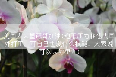 美国人去墨西哥加油(迫于压力我想去国外打工，可自己也没什么技能，大家说可以去哪里？)