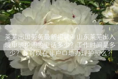莱芜出国劳务最新招聘？山东莱芜出入境申请护照的电话多少？工作时间是多少？我可以在非户口地办理护照么？