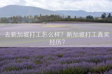 去新加坡打工怎么样？新加坡打工真实经历？