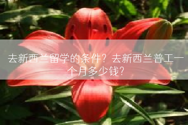 去新西兰留学的条件？去新西兰普工一个月多少钱？