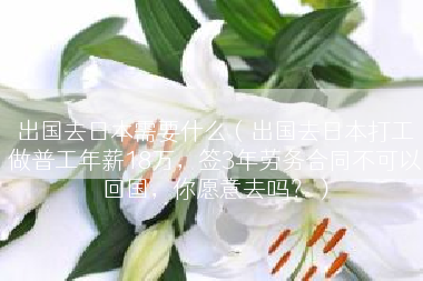 出国去日本需要什么（出国去日本打工做普工年薪18万，签3年劳务合同不可以回国，你愿意去吗？）
