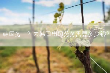 韩国务工？去韩国出国劳务需要多少钱？