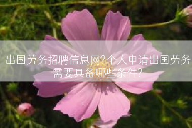 出国劳务招聘信息网?个人申请出国劳务需要具备哪些条件?
