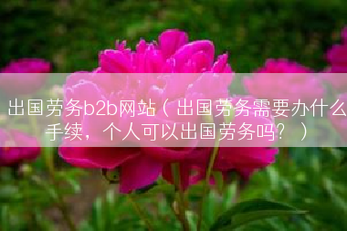 出国劳务b2b网站（出国劳务需要办什么手续，个人可以出国劳务吗？）