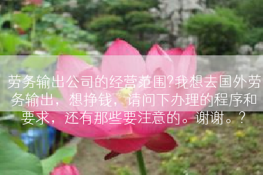 劳务输出公司的经营范围?我想去国外劳务输出，想挣钱，请问下办理的程序和要求，还有那些要注意的。谢谢。?