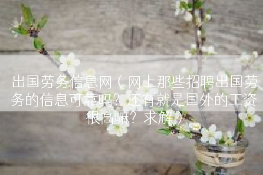 出国劳务信息网（网上那些招聘出国劳务的信息可靠吗？还有就是国外的工资很高嘛？求解）