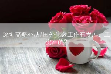 深圳高薪补贴?国外什么工作有发展，工资高的?