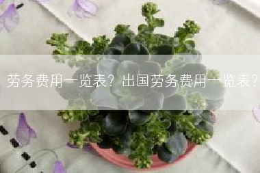 劳务费用一览表？出国劳务费用一览表？