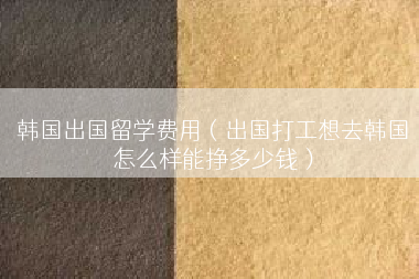 韩国出国留学费用（出国打工想去韩国怎么样能挣多少钱）