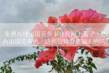 免费办理出国劳务（我在网上看了一些办出国劳务的，这些公司会是骗人的吗？）