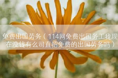 免费出国劳务（114网免费出国务工我现在没钱有么司直招免费的出国劳务吗）