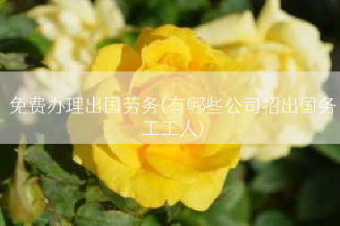 免费办理出国劳务(有哪些公司招出国务工工人)