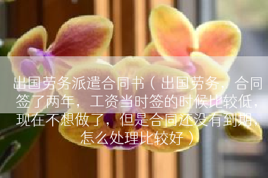 出国劳务派遣合同书（出国劳务，合同签了两年，工资当时签的时候比较低，现在不想做了，但是合同还没有到期，怎么处理比较好）