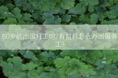 60岁能出国打工吗?有前科怎么办出国务工?