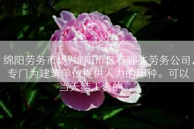 绵阳劳务市场?绵阳市区有哪些劳务公司，专门为建筑单位提供人力的那种。可以当天结工资的。?