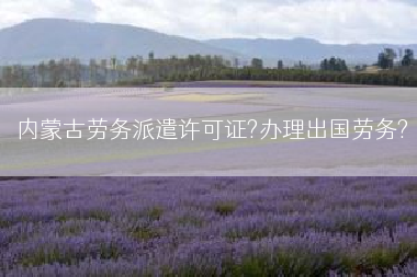 内蒙古劳务派遣许可证?办理出国劳务?