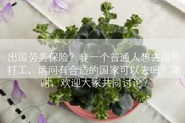 出国劳务保险？我一个普通人想去国外打工，请问有合适的国家可以去吗？谢谢，欢迎大家共同讨论？