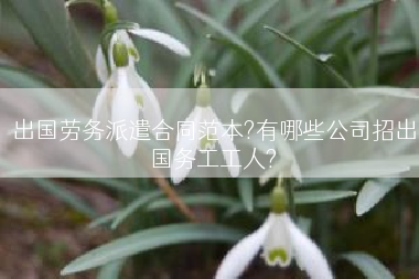 出国劳务派遣合同范本?有哪些公司招出国务工工人?