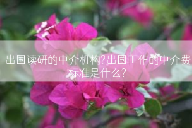 出国读研的中介机构?出国工作的中介费标准是什么?