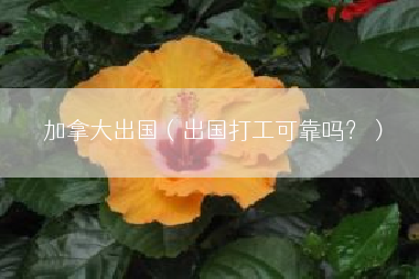 加拿大出国（出国打工可靠吗？）