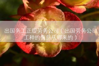 出国务工正规劳务公司（出国劳务公司工种的信息从哪来的）