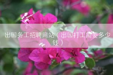 出国务工招聘网站（出国打工需要多少钱）