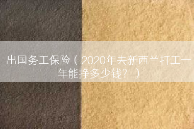 出国务工保险（2020年去新西兰打工一年能挣多少钱？）