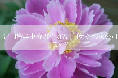 出国留学中介哪个好?出国劳务那家公司最好?