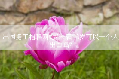 出国务工招聘网站?未满18岁可以一个人出国吗?