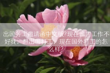出国务工邀请函中文版?现在国内工作不好找，想出国打工，现在国外打工的怎么样?