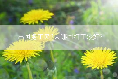 出国务工网?去哪国打工较好?
